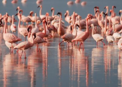 Tanzania Wilderness Expedition, 8 Days