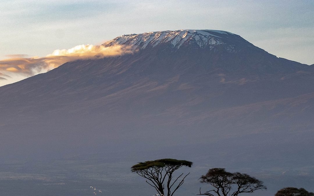 Detailed Itinerary Machame Route – 7 days