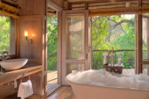 Lake Manyara Tree Lodge