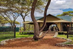 Ole Serai Luxury Camp