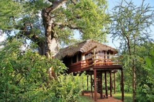 Tarangire Treetops