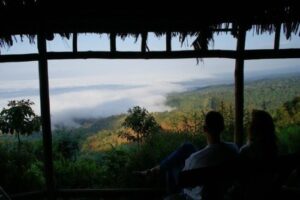 Mount Kilimanjaro View Lodge