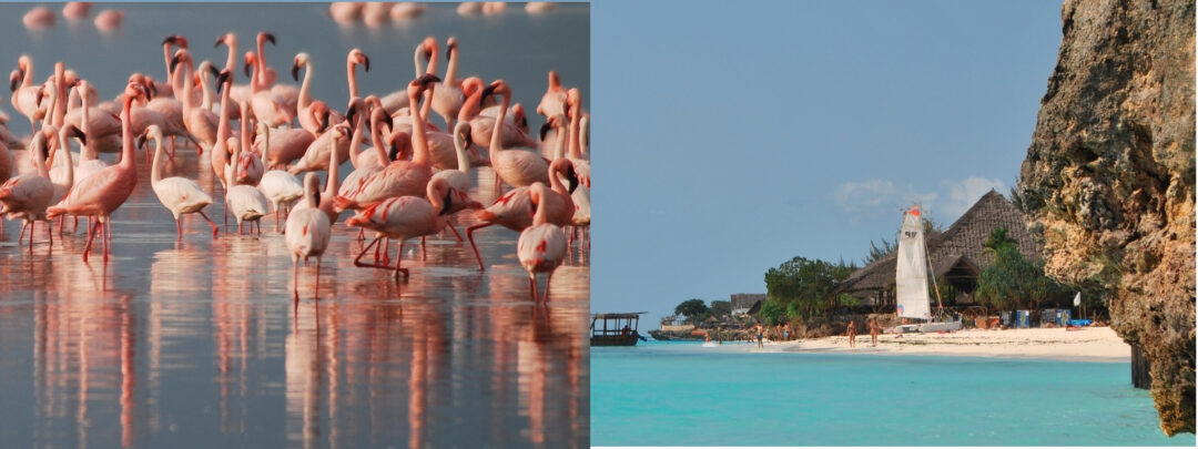 Tanzania and Zanzibar Island Tours, 13 Days