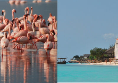 Tanzania and Zanzibar Island Tours, 13 Days