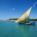 Zanzibar Tours