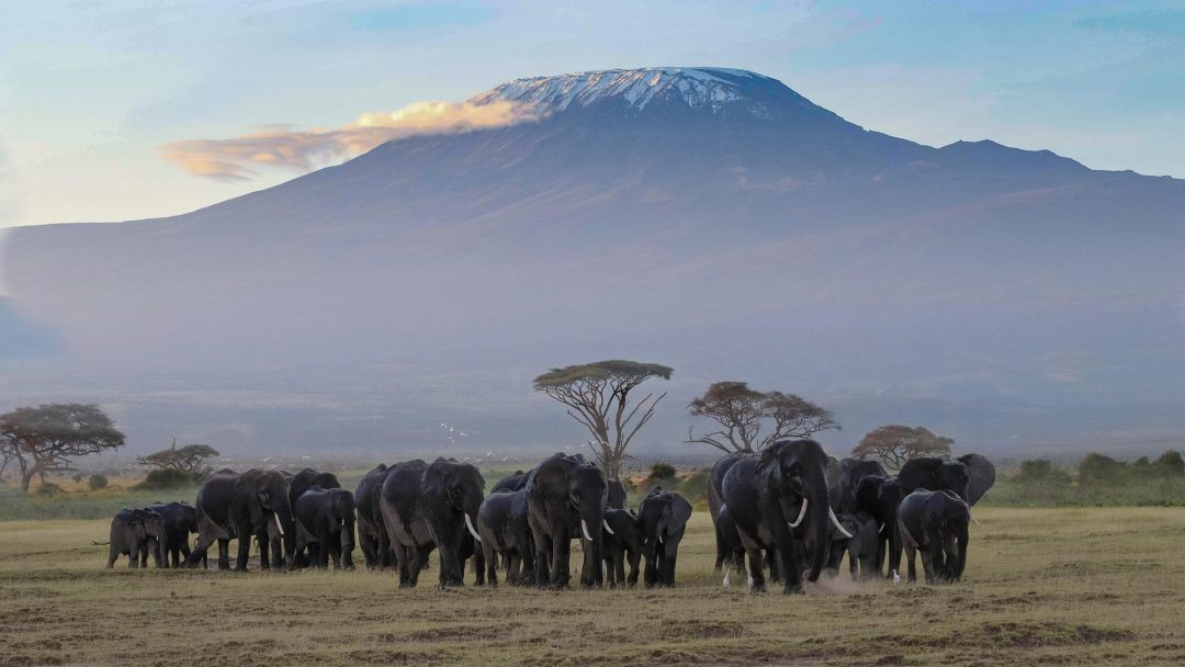 3 Day Amboseli National Park Safari